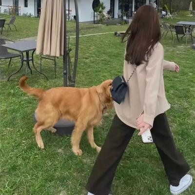 梦幻体验